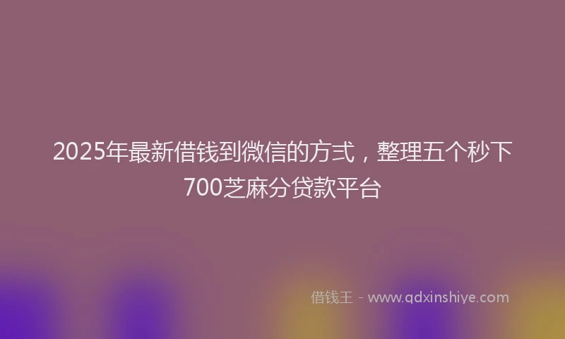 2025年最新借钱到微信的方弍，整理五个秒下700芝麻分贷款平台