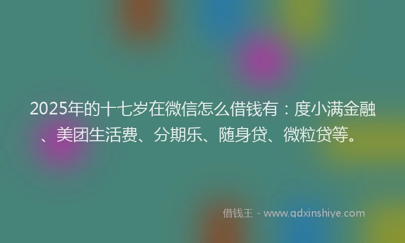 2025年的十七岁在微信怎么借钱有：度小满金融、美团生活费、分期乐、随身贷、微粒贷等。