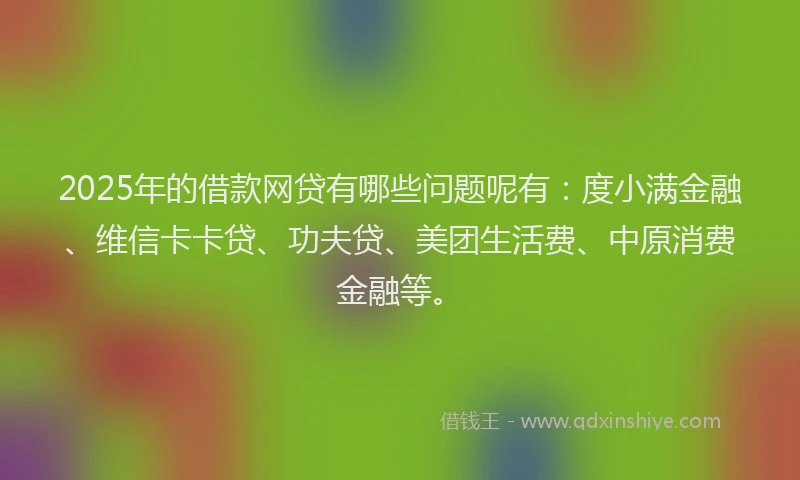 2025年的借款网贷有哪些问题呢有：度小满金融、维信卡卡贷、功夫贷、美团生活费、中原消费金融等。