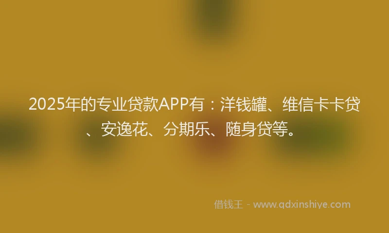 2025年的专业贷款APP有：洋钱罐、维信卡卡贷、安逸花、分期乐、随身贷等。