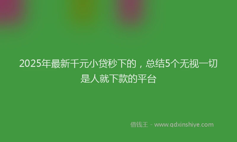 2025年最新千元小贷秒下的，总结5个无视一切是人就下款的平台