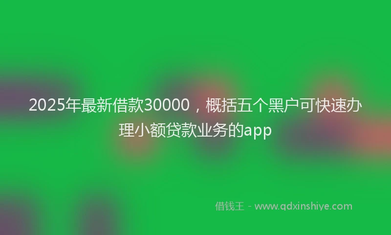 2025年最新借款30000，概括五个黑户可快速办理小额贷款业务的app