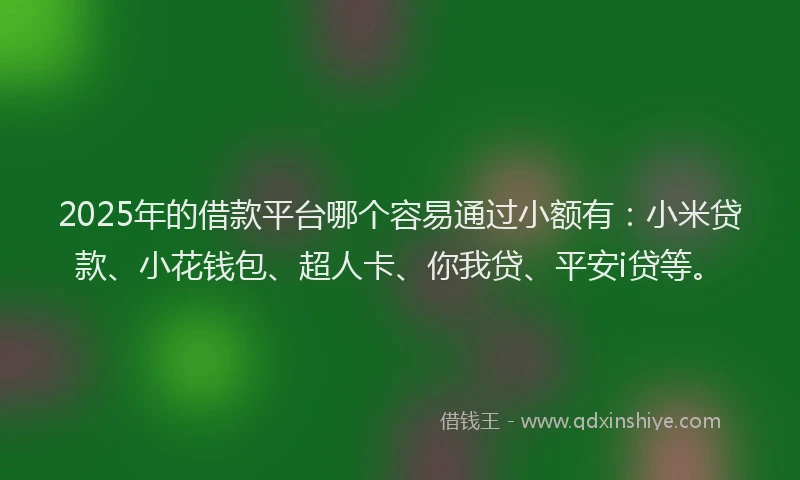2025年的借款平台哪个容易通过小额有：小米贷款、小花钱包、超人卡、你我贷、平安i贷等。