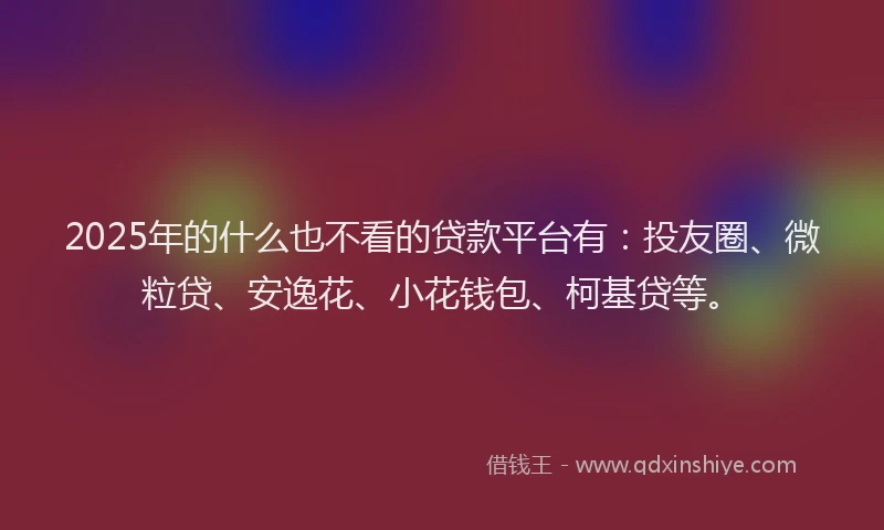 2025年的什么也不看的贷款平台有：投友圈、微粒贷、安逸花、小花钱包、柯基贷等。