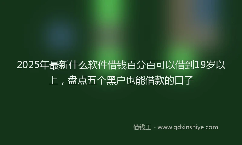 2025年最新什么软件借钱百分百可以借到19岁以上，盘点五个黑户也能借款的口子