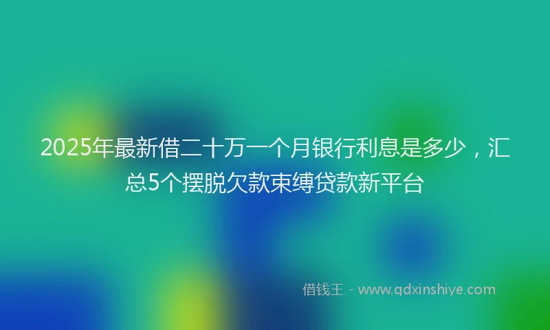 2025年最新借二十万一个月银行利息是多少，汇总5个摆脱欠款束缚贷款新平台