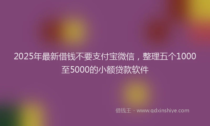 2025年最新借钱不要支付宝微信，整理五个1000至5000的小额贷款软件