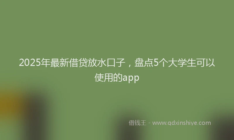 2025年最新借贷放水口子，盘点5个大学生可以使用的app
