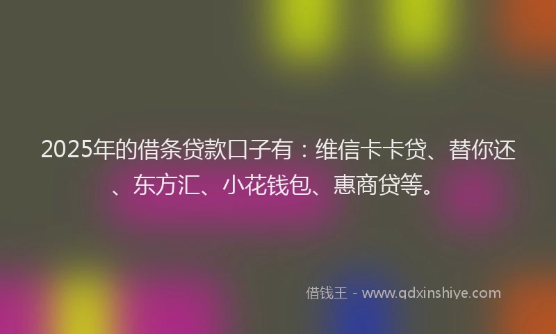 2025年的借条贷款口子有：维信卡卡贷、替你还、东方汇、小花钱包、惠商贷等。