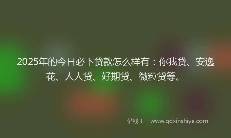 2025年的今日必下贷款怎么样有：你我贷、安逸花、人人贷、好期贷、微粒贷等。