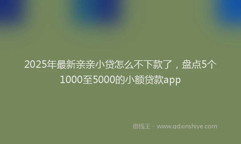 2025年最新亲亲小贷怎么不下款了，盘点5个1000至5000的小额贷款app