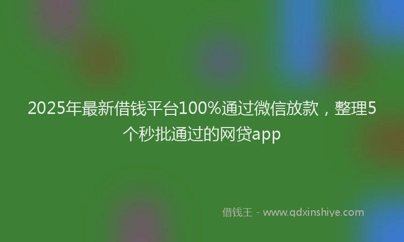 2025年最新借钱平台100%通过微信放款，整理5个秒批通过的网贷app