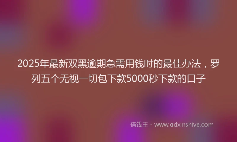 2025年最新双黑逾期急需用钱时的最佳办法，罗列五个无视一切包下款5000秒下款的口子