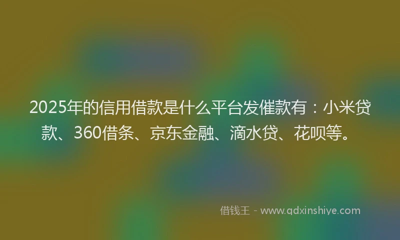 2025年的信用借款是什么平台发催款有：小米贷款、360借条、京东金融、滴水贷、花呗等。