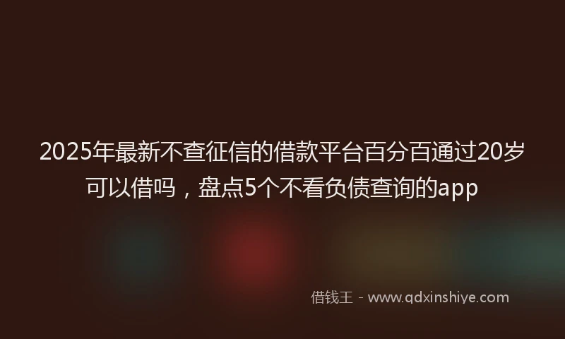 2025年最新不查征信的借款平台百分百通过20岁可以借吗，盘点5个不看负债查询的app