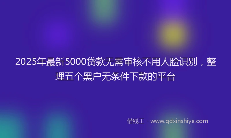 2025年最新5000贷款无需审核不用人脸识别，整理五个黑户无条件下款的平台