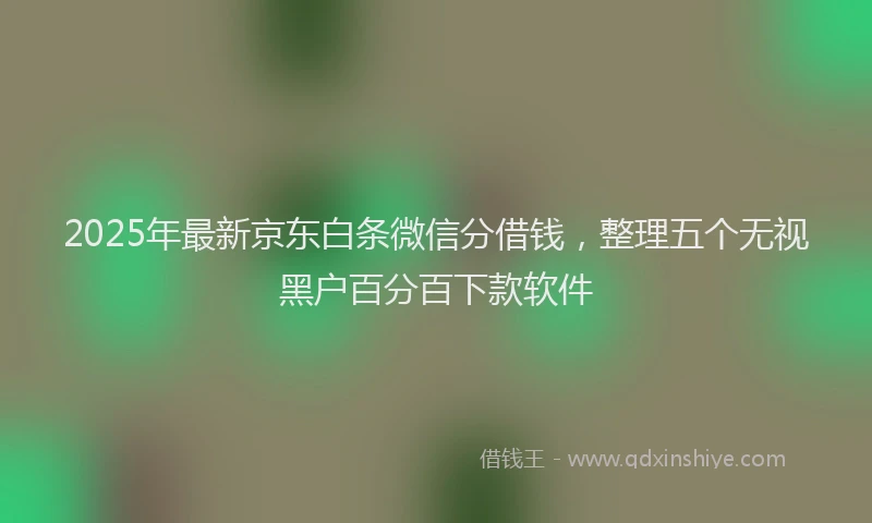 2025年最新京东白条微信分借钱，整理五个无视黑户百分百下款软件