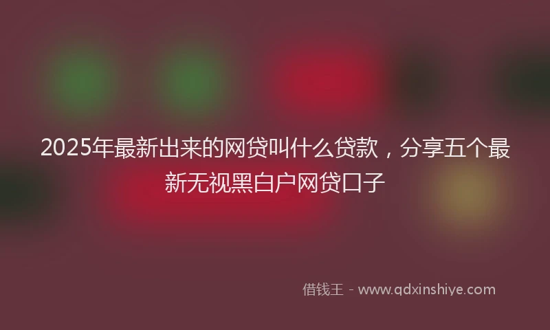 2025年最新出来的网贷叫什么贷款，分享五个最新无视黑白户网贷口子