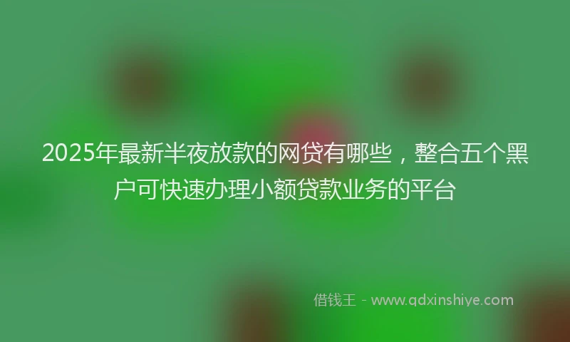 2025年最新半夜放款的网贷有哪些，整合五个黑户可快速办理小额贷款业务的平台