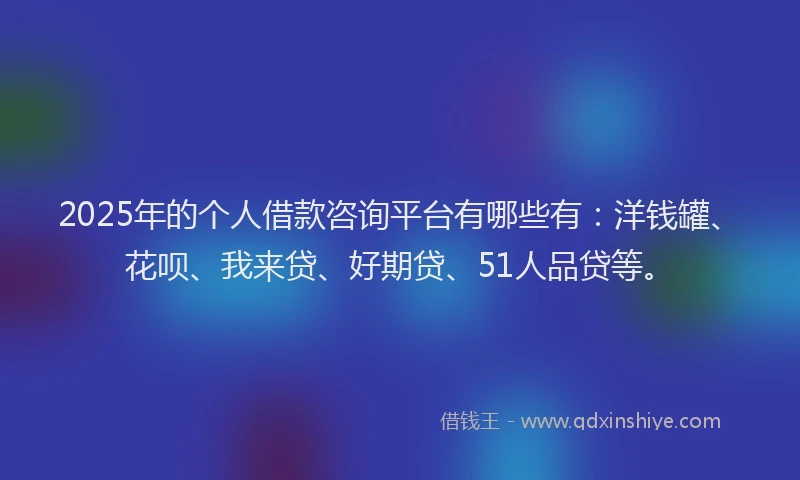 2025年的个人借款咨询平台有哪些有：洋钱罐、花呗、我来贷、好期贷、51人品贷等。