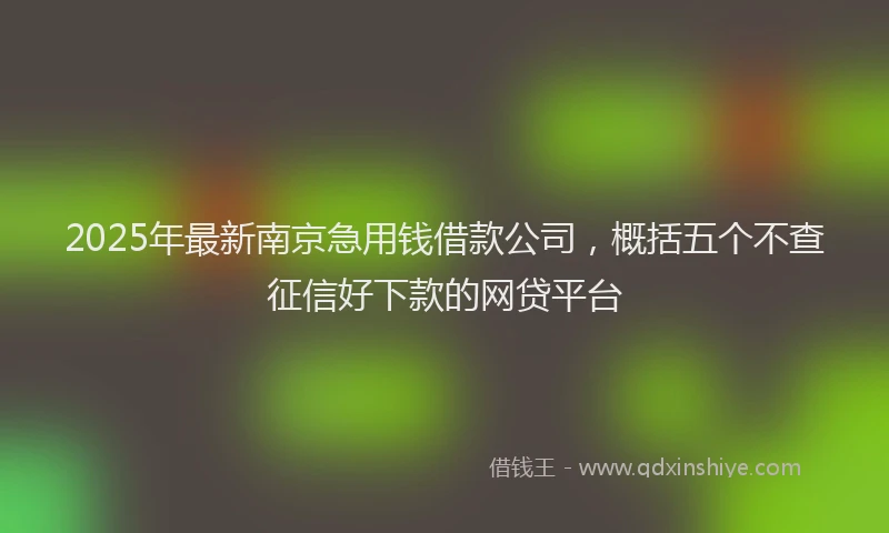 2025年最新南京急用钱借款公司，概括五个不查征信好下款的网贷平台