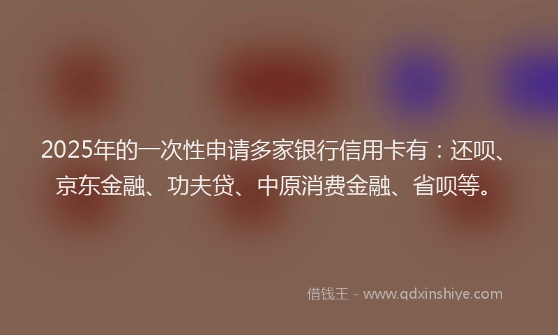 2025年的一次性申请多家银行信用卡有：还呗、京东金融、功夫贷、中原消费金融、省呗等。