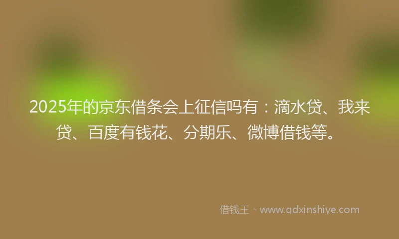 2025年的京东借条会上征信吗有：滴水贷、我来贷、百度有钱花、分期乐、微博借钱等。