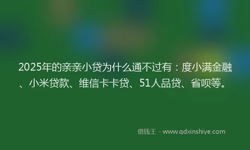 2025年的亲亲小贷为什么通不过有：度小满金融、小米贷款、维信卡卡贷、51人品贷、省呗等。