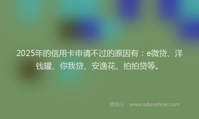 2025年的信用卡申请不过的原因有：e微贷、洋钱罐、你我贷、安逸花、拍拍贷等。