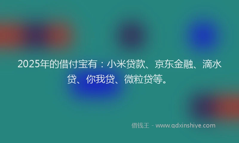 2025年的借付宝有：小米贷款、京东金融、滴水贷、你我贷、微粒贷等。