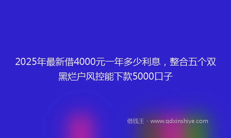 2025年最新借4000元一年多少利息，整合五个双黑烂户风控能下款5000口子