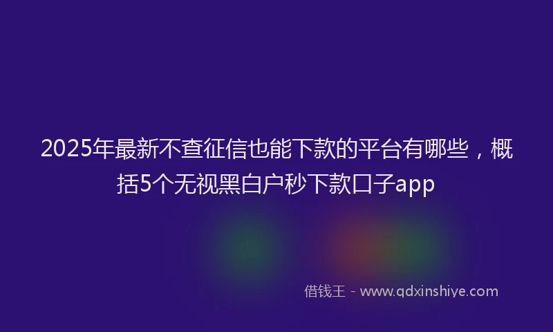 2025年最新不查征信也能下款的平台有哪些，概括5个无视黑白户秒下款口子app