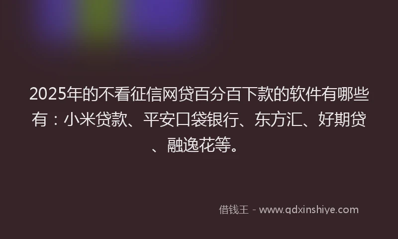 2025年的不看征信网贷百分百下款的软件有哪些有：小米贷款、平安口袋银行、东方汇、好期贷、融逸花等。