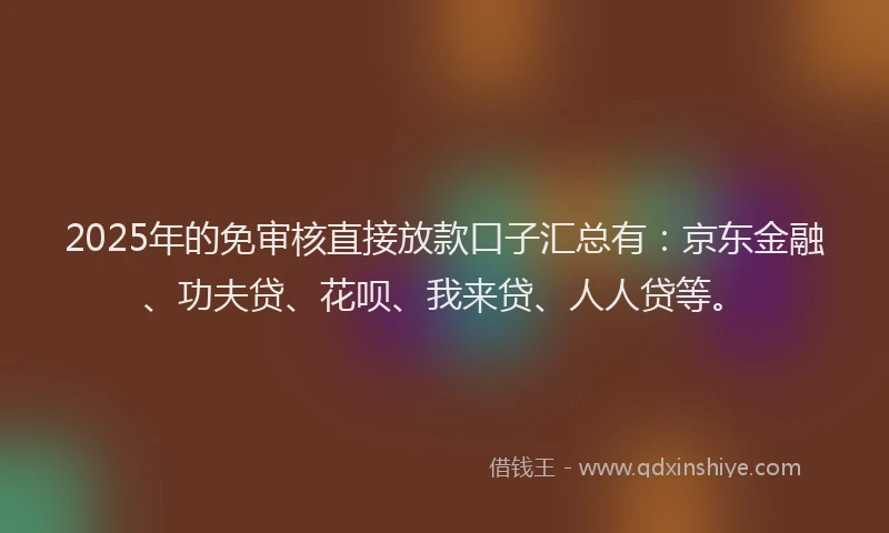 2025年的免审核直接放款口子汇总有：京东金融、功夫贷、花呗、我来贷、人人贷等。