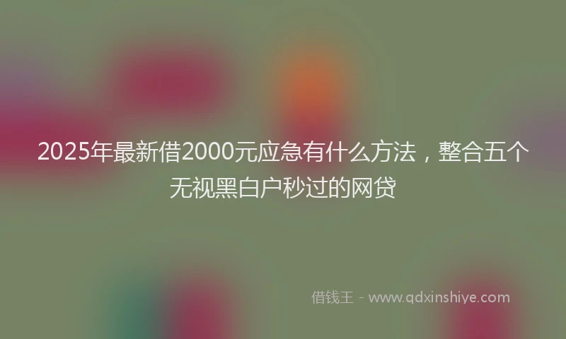 2025年最新借2000元应急有什么方法，整合五个无视黑白户秒过的网贷