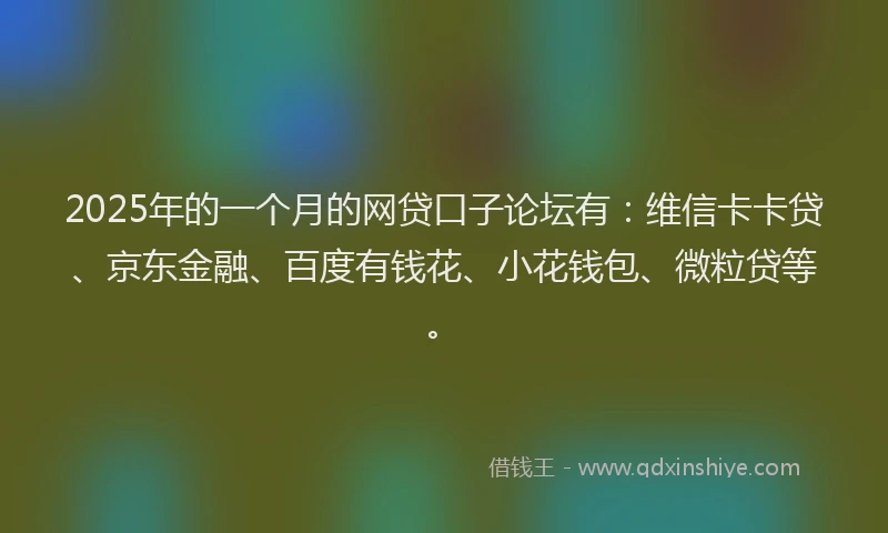 2025年的一个月的网贷口子论坛有：维信卡卡贷、京东金融、百度有钱花、小花钱包、微粒贷等。
