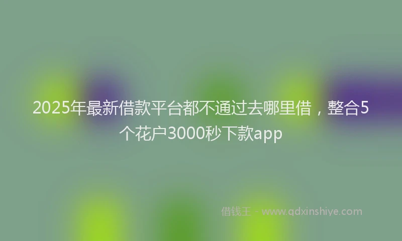 2025年最新借款平台都不通过去哪里借，整合5个花户3000秒下款app