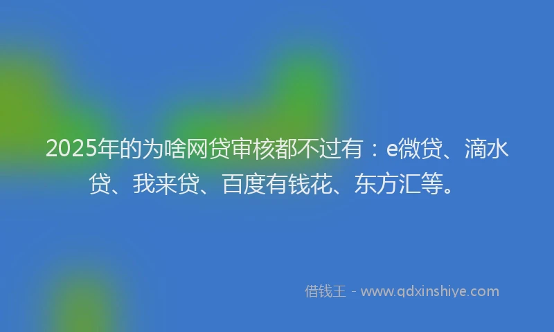 2025年的为啥网贷审核都不过有：e微贷、滴水贷、我来贷、百度有钱花、东方汇等。