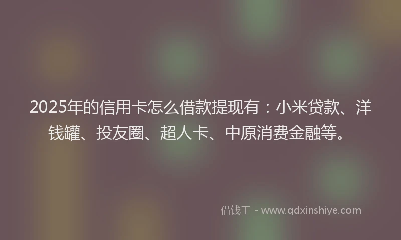 2025年的信用卡怎么借款提现有：小米贷款、洋钱罐、投友圈、超人卡、中原消费金融等。