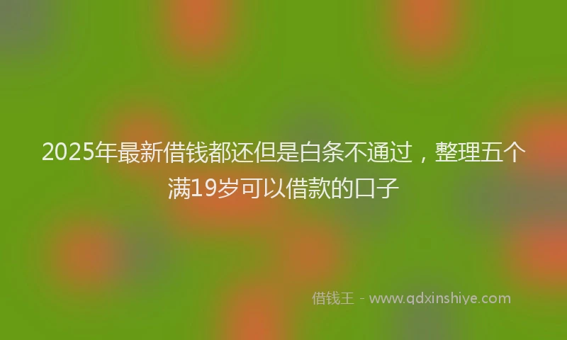 2025年最新借钱都还但是白条不通过，整理五个满19岁可以借款的口子