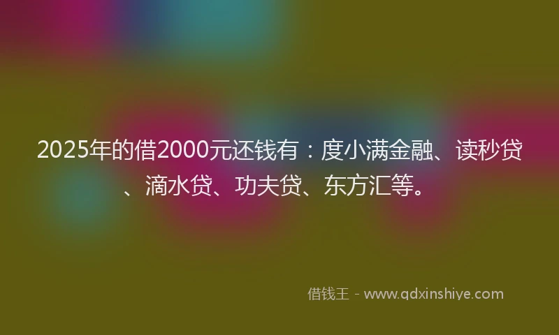 2025年的借2000元还钱有：度小满金融、读秒贷、滴水贷、功夫贷、东方汇等。