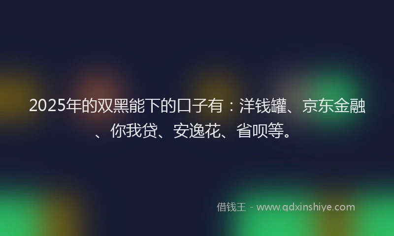 2025年的双黑能下的口子有：洋钱罐、京东金融、你我贷、安逸花、省呗等。