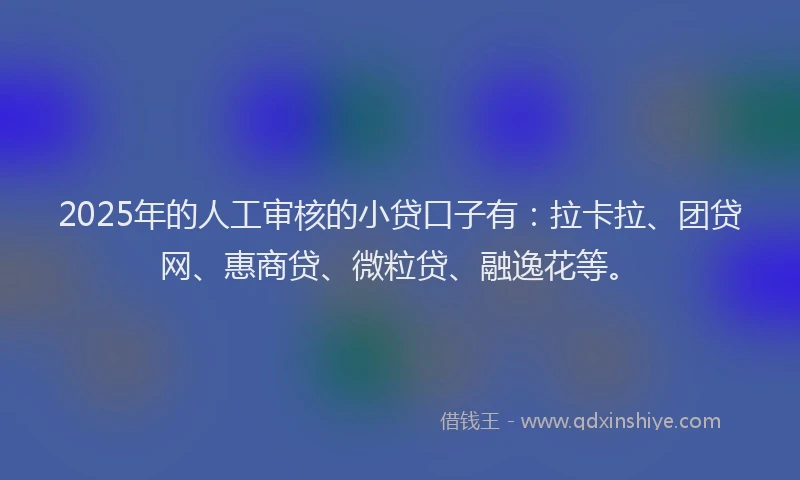 2025年的人工审核的小贷口子有：拉卡拉、团贷网、惠商贷、微粒贷、融逸花等。