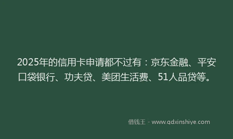 2025年的信用卡申请都不过有：京东金融、平安口袋银行、功夫贷、美团生活费、51人品贷等。