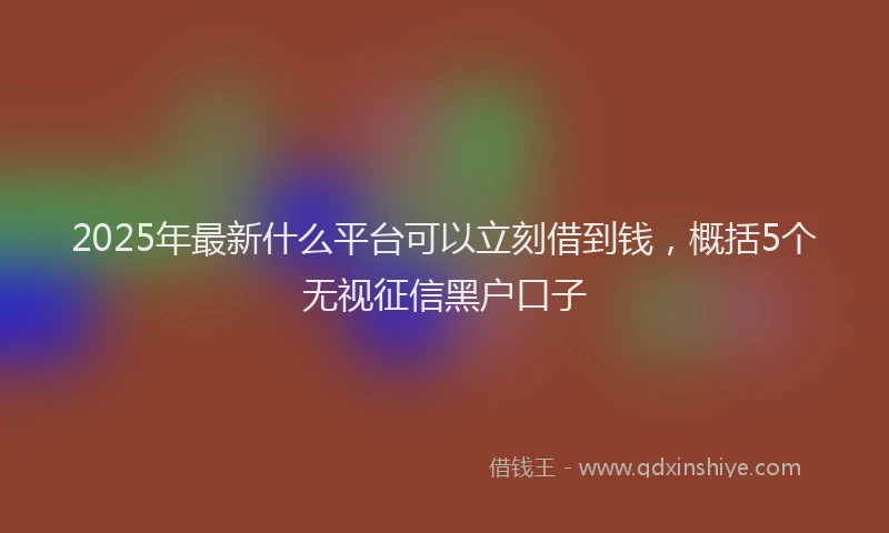 2025年最新什么平台可以立刻借到钱，概括5个无视征信黑户口子