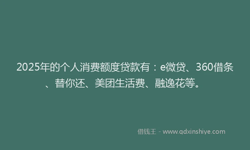 2025年的个人消费额度贷款有：e微贷、360借条、替你还、美团生活费、融逸花等。