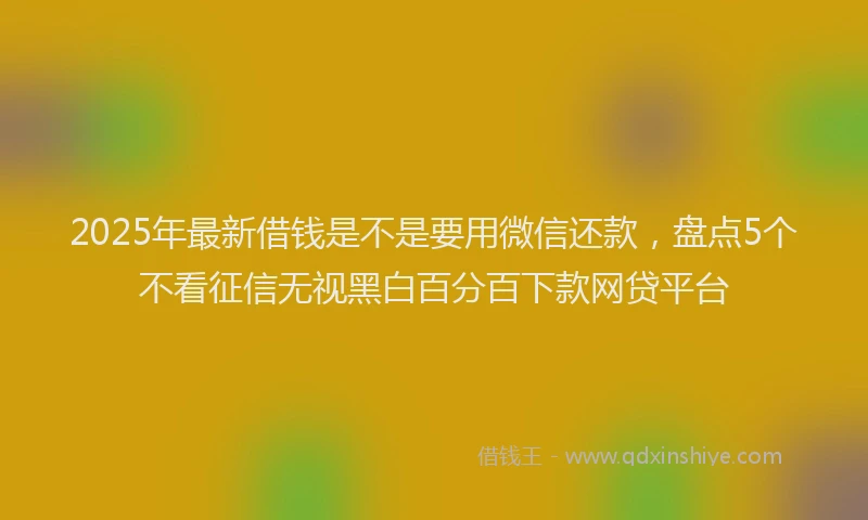 2025年最新借钱是不是要用微信还款，盘点5个不看征信无视黑白百分百下款网贷平台