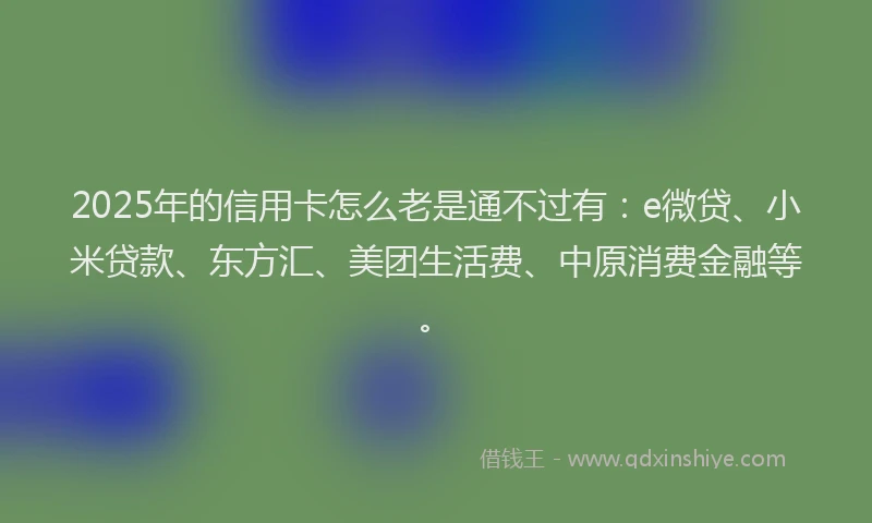 2025年的信用卡怎么老是通不过有：e微贷、小米贷款、东方汇、美团生活费、中原消费金融等。