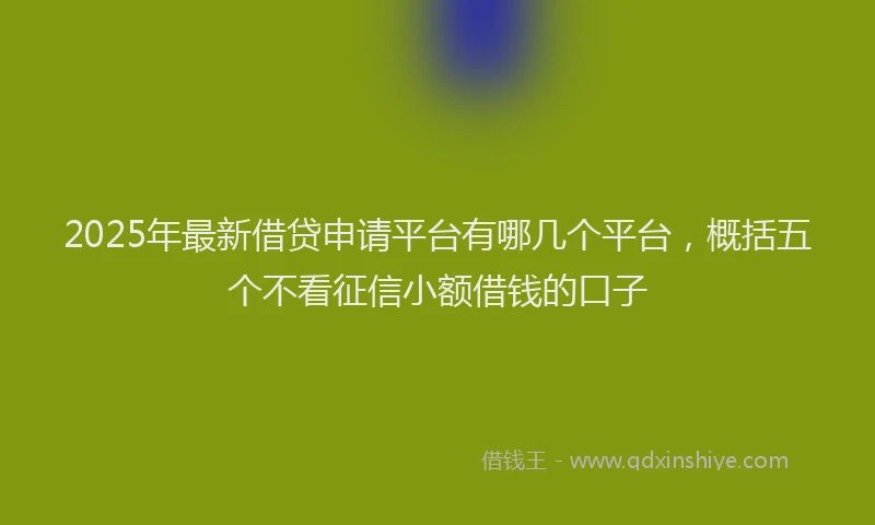 2025年最新借贷申请平台有哪几个平台，概括五个不看征信小额借钱的口子