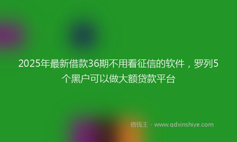 2025年最新借款36期不用看征信的软件，罗列5个黑户可以做大额贷款平台